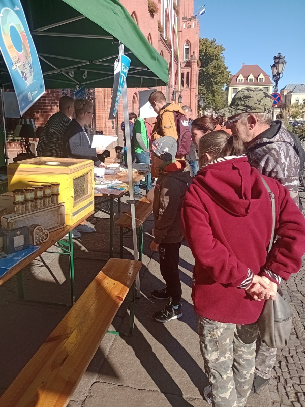 Mieszkańcy oglądający stosiko pszczelarskie