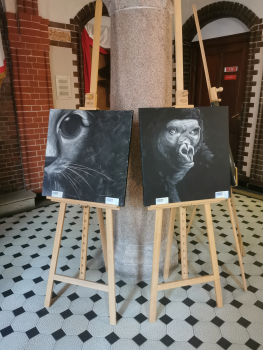 dwa obrazy na sztalgach - jeden przedstawia goryla, drugi kota; czarno-białe