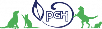 Logo PGK - grafiki psó i kotów