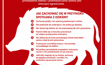 Plakat przedstawiający wizerunek dzika i wskazówki dla mieszkańców
