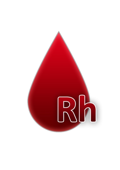 Na zdjęciu kropla krwi z napisem Rh