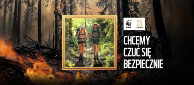 dójka ludzi na spacerze w lesie, nording woking, płonący las w tle