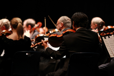 kobiety i mężczyźni ubrani na czarno grający na skrzypcach; wszyscy siedzą tyłem