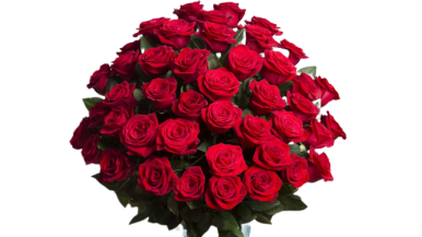 zdjęcie przedstawia bukiet czerwonych róż