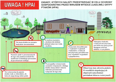 Grafika przedstawiająca zasady ochrony przed grypą ptaków