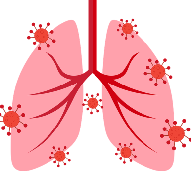 Na zdjęciu płuca z wirusami