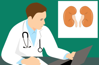 Na zdjęciu lekarz przed komputerem, na ścianie plakat nerek