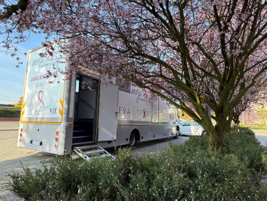 mamobus z otwartymi drzwiami, który przysłania kwitnące drzewo