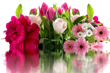 bukiet kwiatów różowych gerberów, tulipanów i róż odbijający się w tafli wody