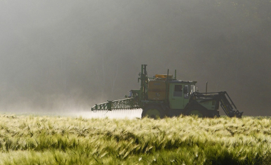 Zdjęcie przedstawia prowadzenie oprysku zbóż na polu, w tle zamglony las.