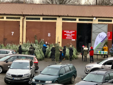 mieszkańcy odbierający choinki