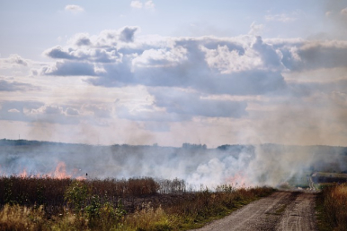 pożar łąki, dym, niebo pełne chmur