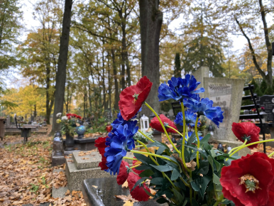cmentarz , groby, zieleń, drzewa, a na pierwszym planie kwiaty