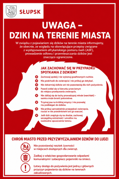 Plakat przedstawiający wizerunek dzika i wskazówki dla mieszkańców
