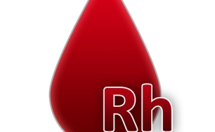 Na zdjęciu kropla krwi z napisem Rh