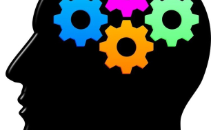 Na zdjęciu profil twarzy w kolorze czarnym z kolorowymi trybami w głowie