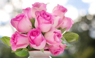 zdjęcie przedstawia bukiet składajacy się z róż i tulipanów (fot. pixabay)