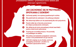 Plakat przedstawiający wizerunek dzika i wskazówki dla mieszkańców