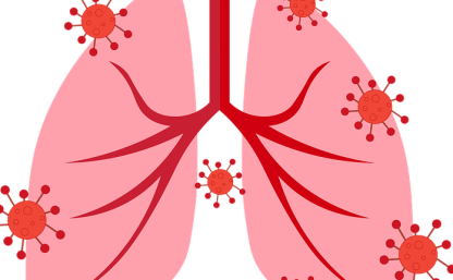 Na zdjęciu płuca z wirusami