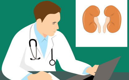 Na zdjęciu lekarz przed komputerem, na ścianie plakat nerek