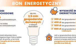 Grafika informacyjna z danymi jak w artykule , obrazek-żarówka