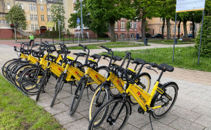 Rząd rowerów zaparkowany na stacji.