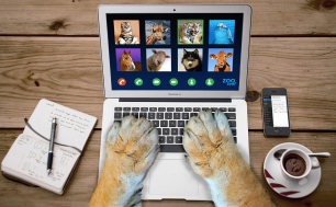 otworzony laptop, łapki zwierzęcia na klawiaturze, na monitorze wizerunek: kota, żyrafy, tygrysa, delfina, konia, owcy, psa i krowy; obok laptopa kawa, telefon komórkowy oraz notes z długopisem