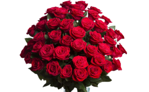 zdjęcie przedstawia bukiet czerwonych róż