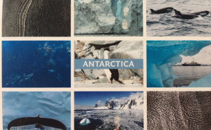 Na zdjęciu widzimy pierwszą stronę kartki pocztowej obrazującej kilka widoków na Antarktydę - ogon wiloryba, podwony świat, lodowiec, pingwin, statek, grzbiety orek