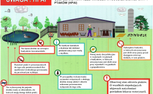 Grafika przedstawiająca zasady ochrony przed grypą ptaków