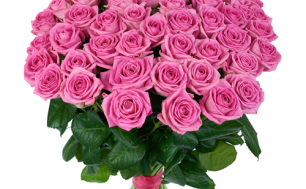 Zdjęcie przedstawia bukiet różowych róż