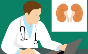 Na zdjęciu lekarz przed komputerem, na ścianie plakat nerek