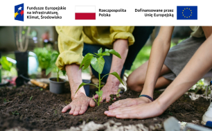 na zdjęciu widoczne ręce dwóch osób sadzących roślinę