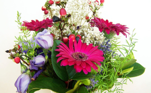 bukiet kolorowyh kwiatów