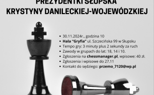 Figury szachowe i informacje jak w treści artykułu