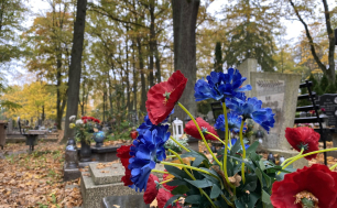 cmentarz , groby, zieleń, drzewa, a na pierwszym planie kwiaty